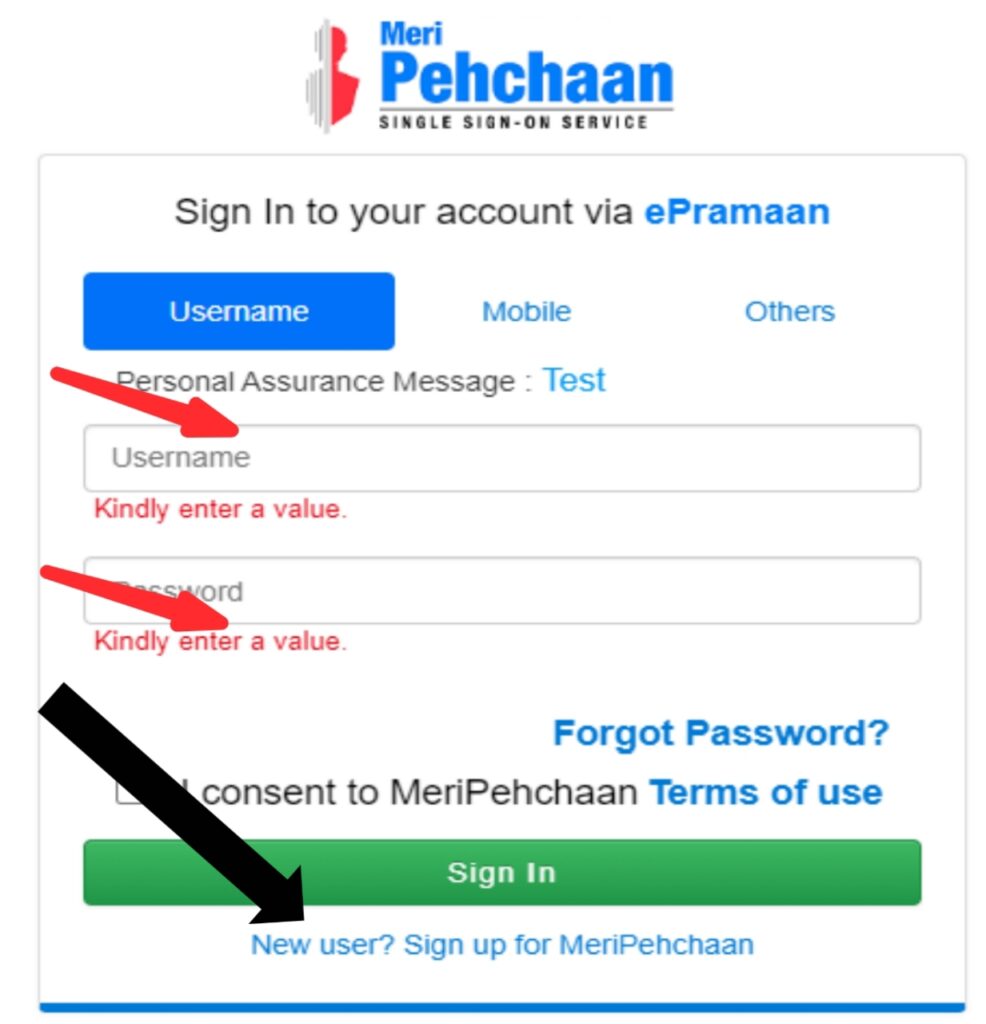 Aadhaar Verification Form